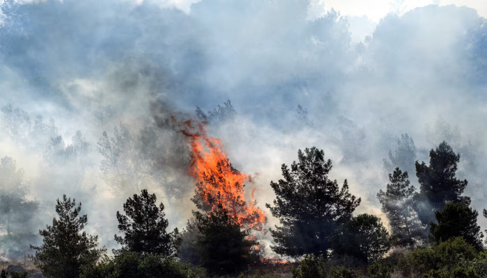 Fire In Israel Forest fires triggered by Hezbollah rockets spread through northern Israel